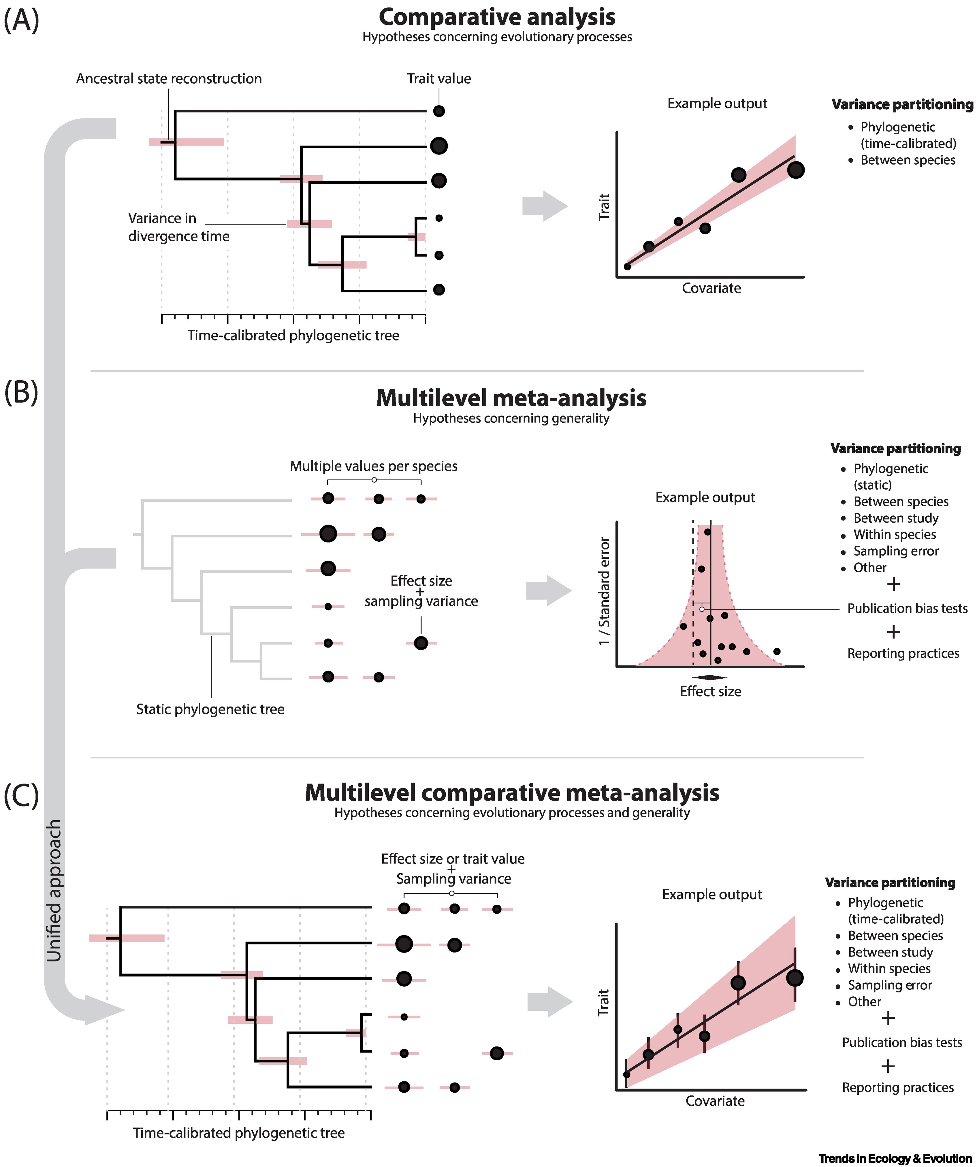 Figure 2 from Pottier et al. illustrating conceptual frameworks for community-level and function-valued analyses.